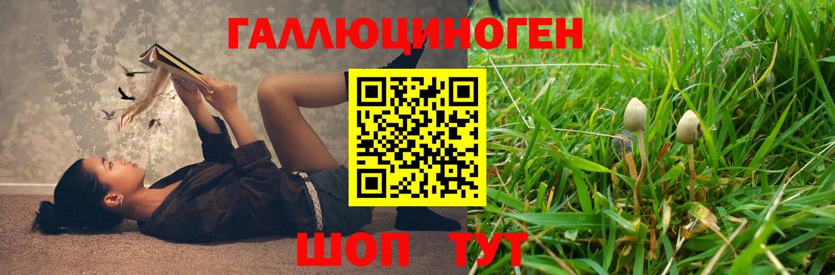 Галлюциногенные грибы GOLDEN TEACHER Кисловодск